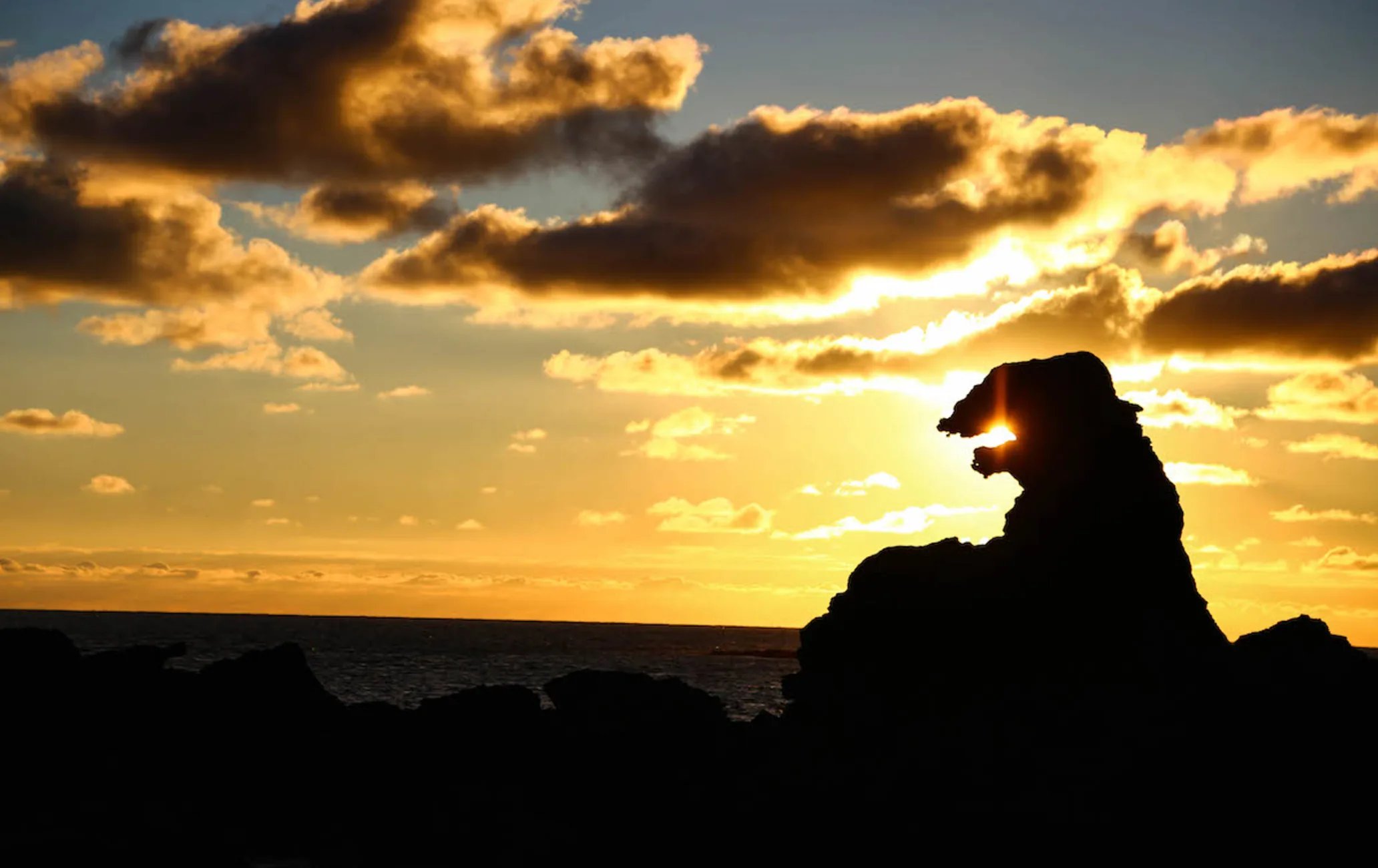 🌊 고질라 바위(고지라 이와)
